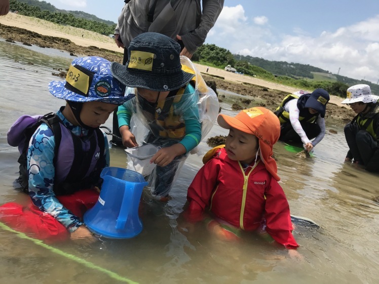 青空ようちえん〔週末〕春の海岸ピクニック(5/5)泳いで!生き物を見つけて!親子でのんびり今年はじめての海遊び_d0363878_23595562.jpg
