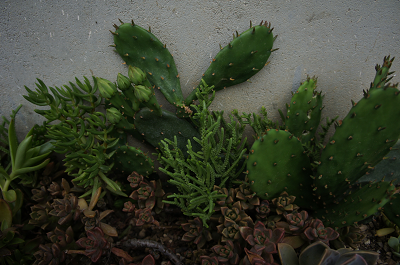 d0179679_20264568.png