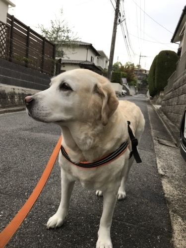 f0315081_22545434.jpeg