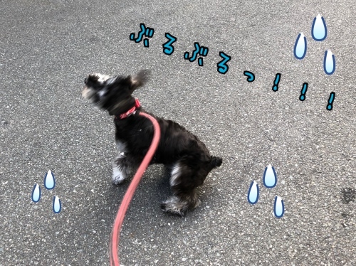 トレーニングブログ_f0357682_19421337.jpeg