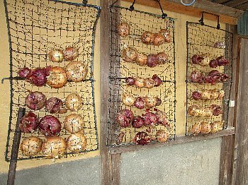 f0003283_07203991.jpg