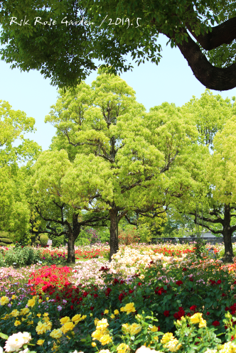 b0223592_12553305.png