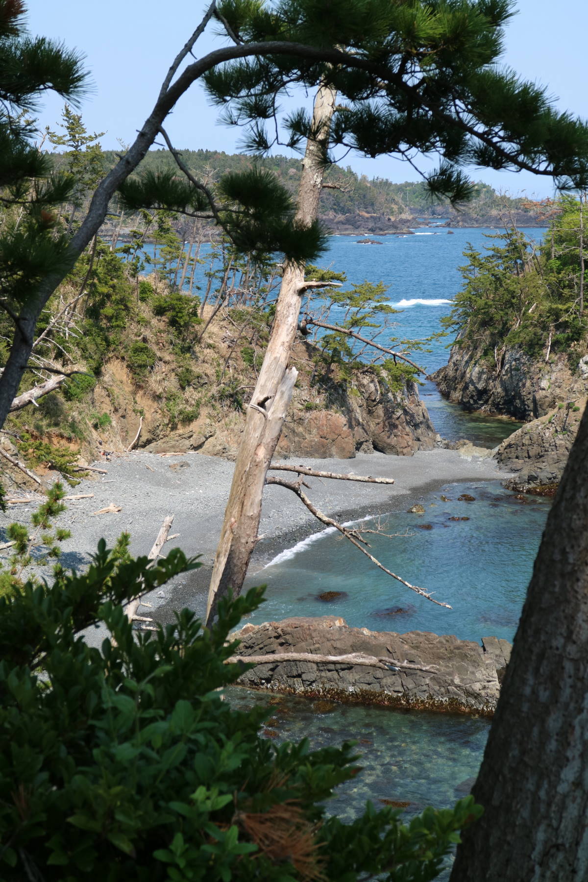 f0075595_13212704.jpg