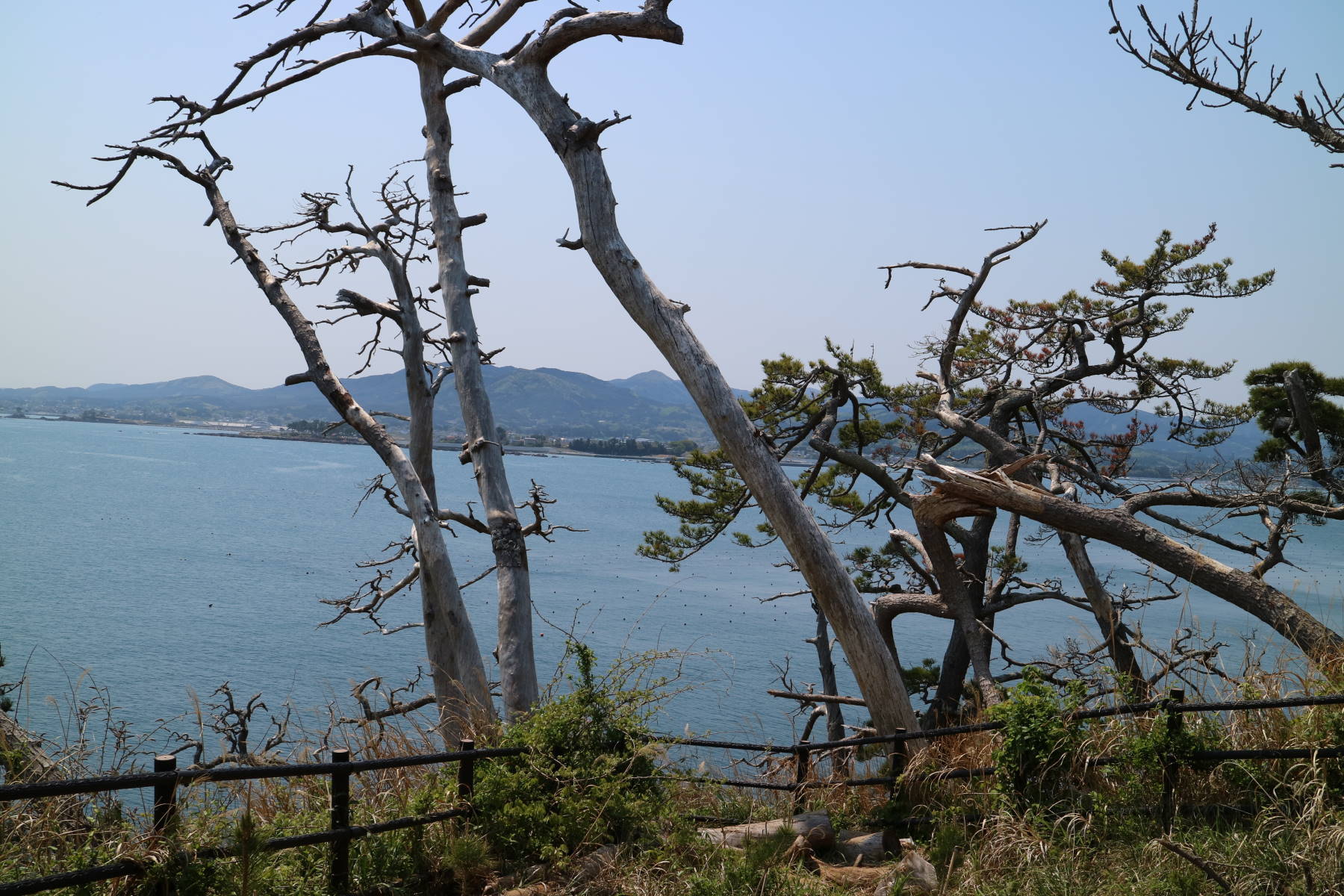 f0075595_13234246.jpg
