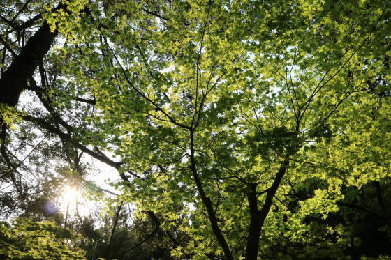 f0075595_13310279.jpg