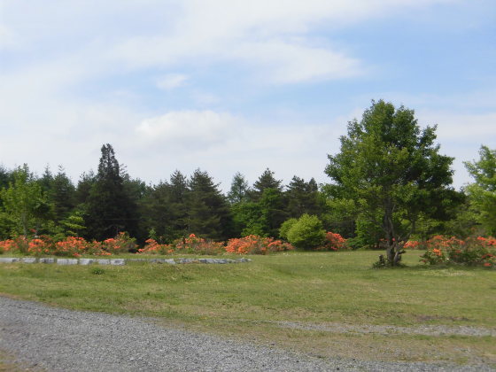 f0334599_10134903.jpg