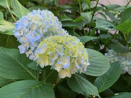f0239100_23005296.jpg