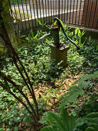 f0239100_23100981.jpg