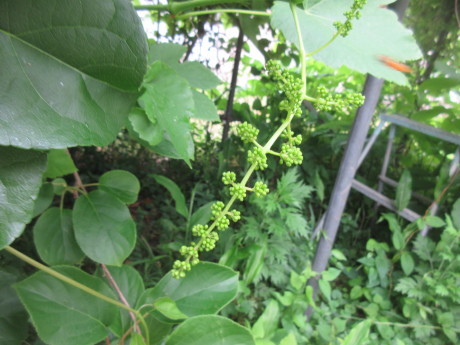 a0203003_16414962.jpg