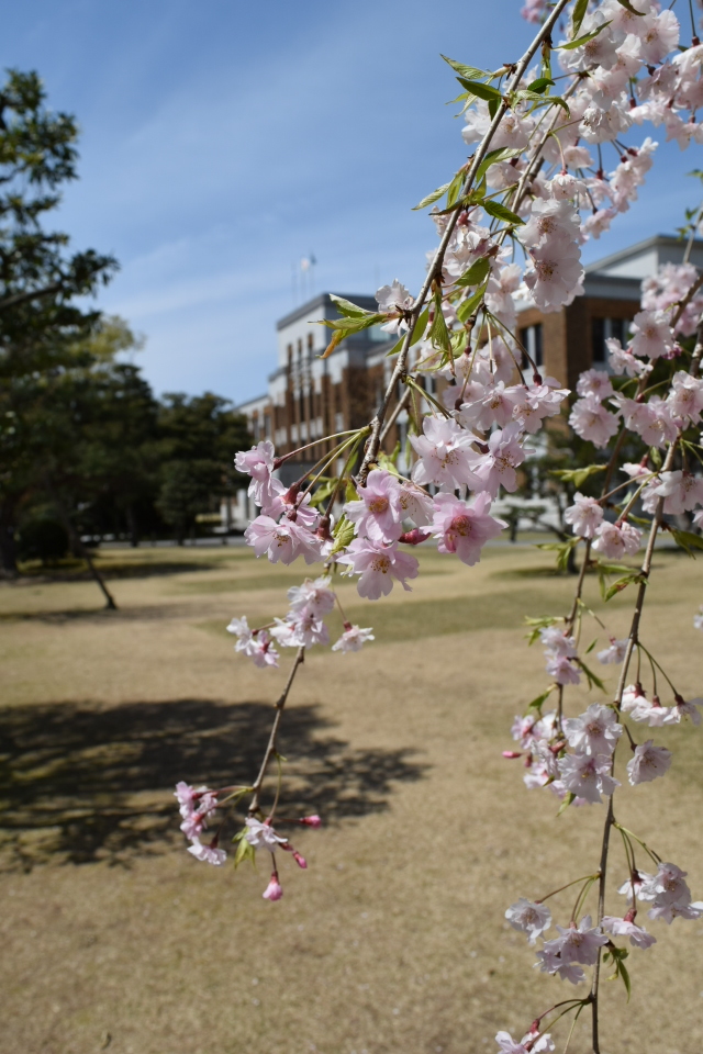 金沢市広坂の石川県政記念しいのき迎賓館(大正モダン建築探訪)_f0142606_10073307.jpg