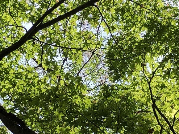 f0364707_14244035.jpg