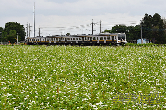d0110009_16532336.jpg