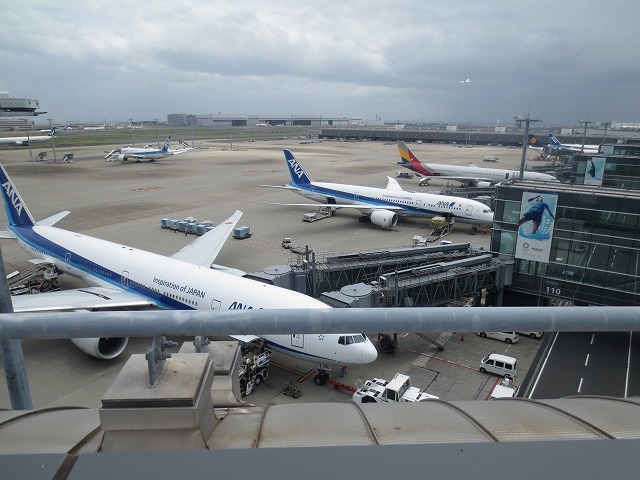 日本一時帰国 最後の夜の中華_b0064411_08045814.jpg