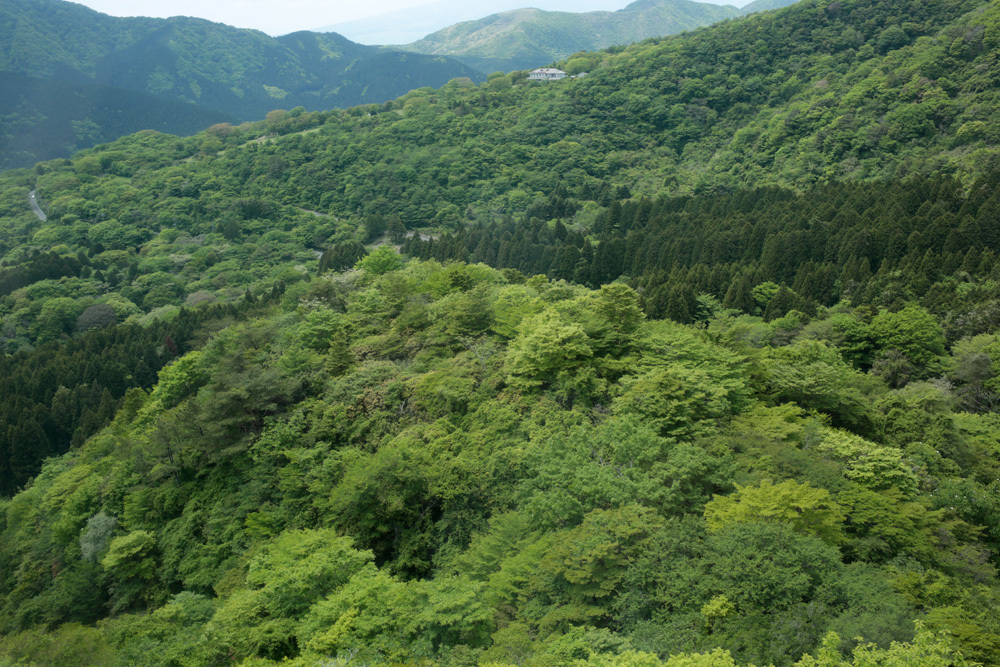 d0011713_12520618.jpg
