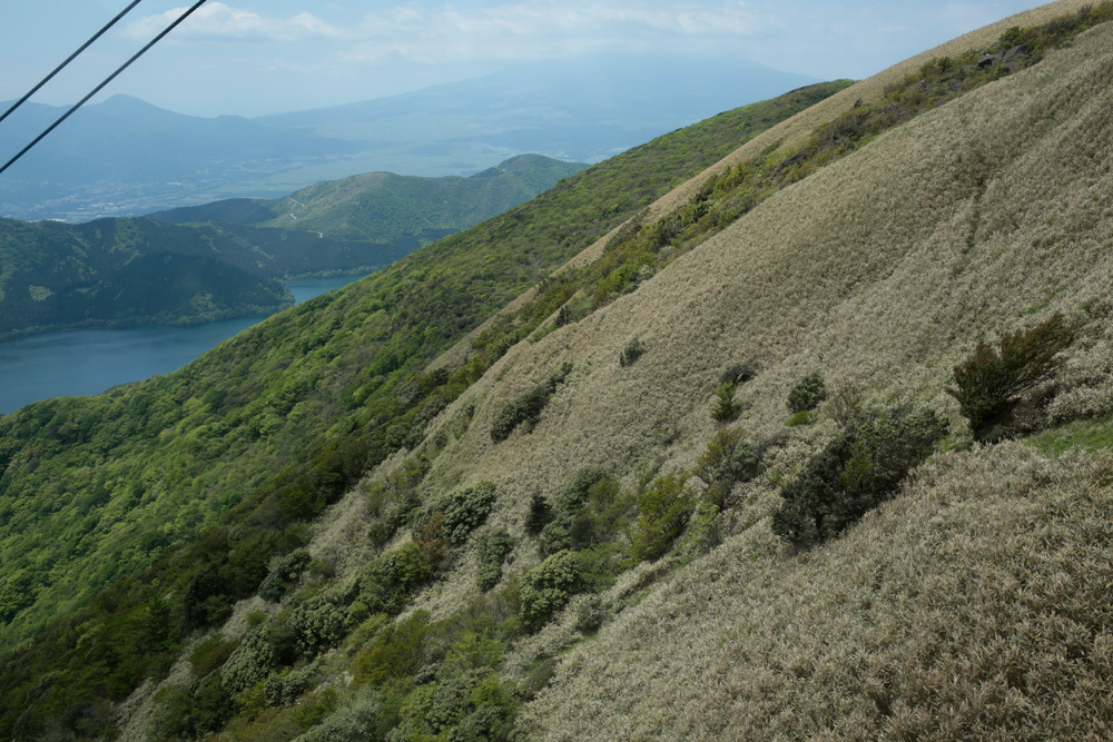 d0011713_12521621.jpg
