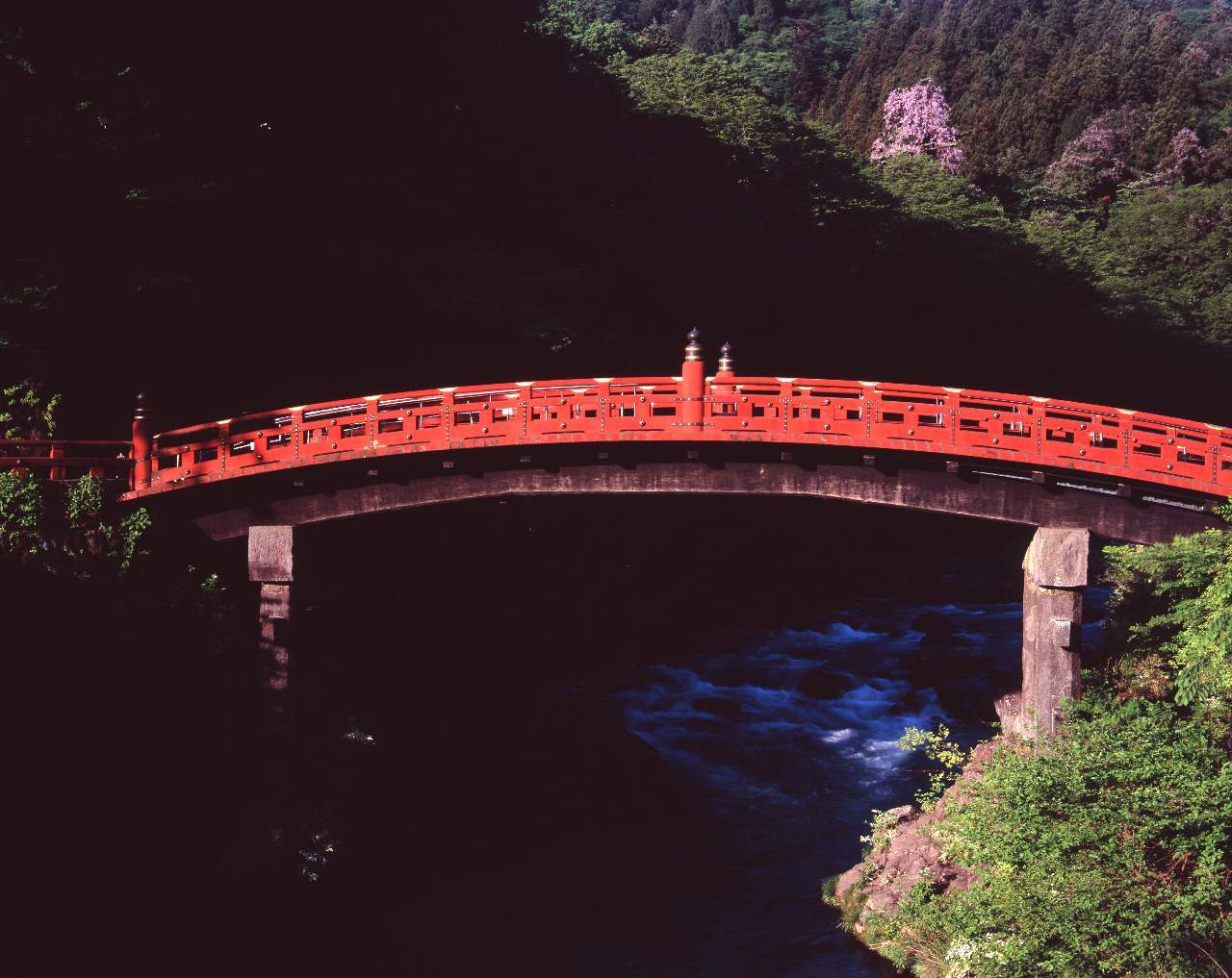 d0333714_19540540.jpg