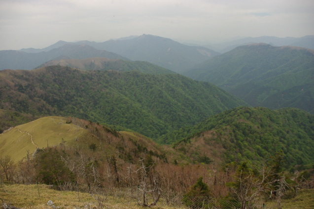 d0341514_23172845.jpg