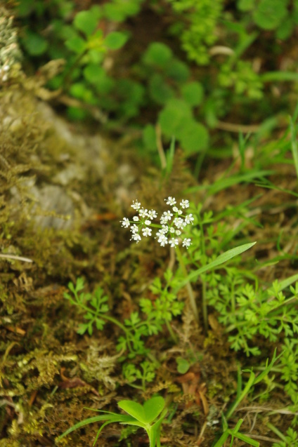 d0341514_23245627.jpg