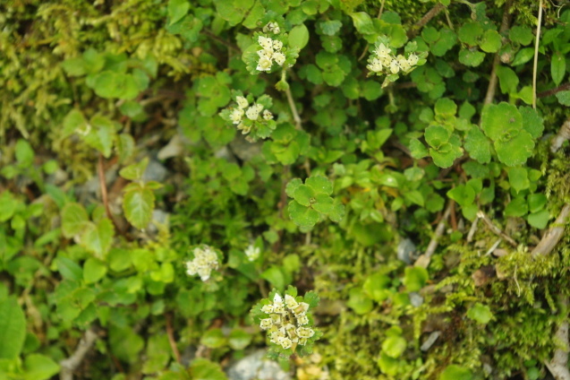 d0341514_23260344.jpg