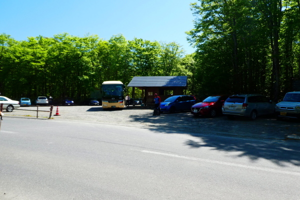 d0170615_18484405.jpg