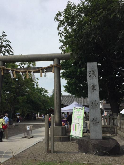 神社巡り御朱印なしの蛇窪神社、戸越八幡神社、浅草富士浅間神社_a0251116_19512630.jpg