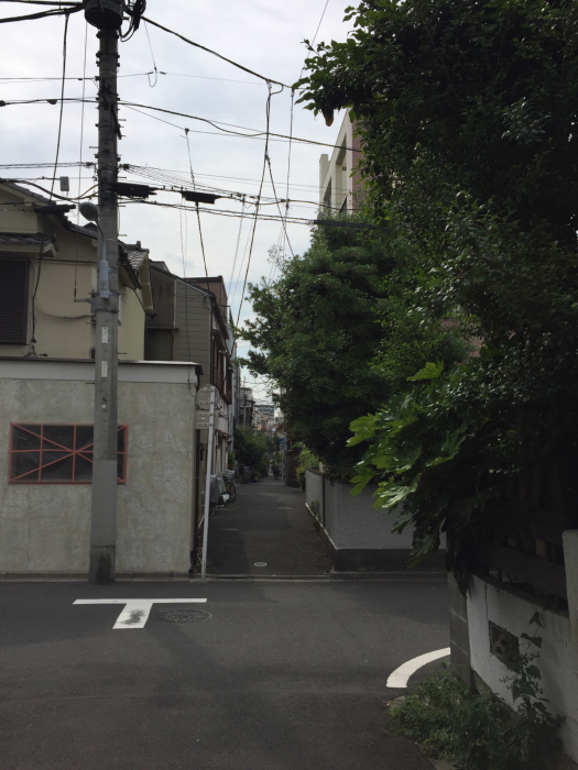 神社巡り御朱印なしの蛇窪神社、戸越八幡神社、浅草富士浅間神社_a0251116_19535623.jpg