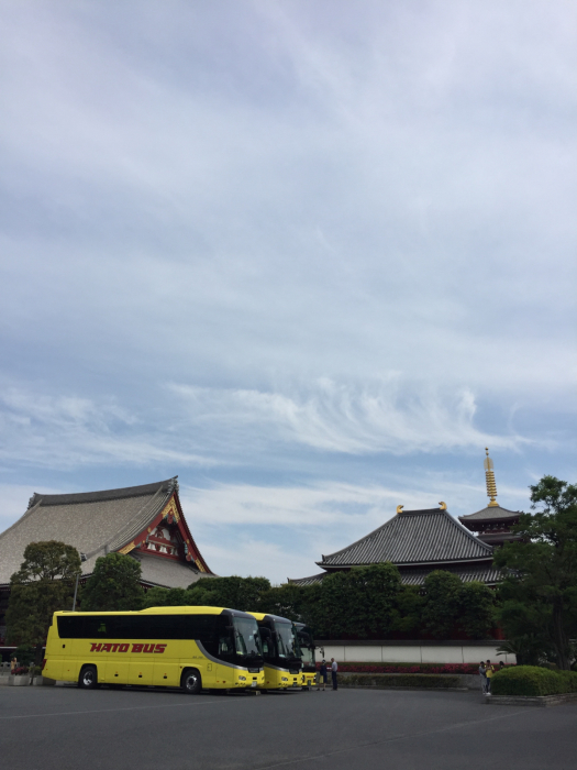 神社巡り御朱印なしの蛇窪神社、戸越八幡神社、浅草富士浅間神社_a0251116_19545700.jpg