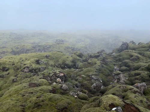 濃霧に包まれた自然保護地区の溶岩地、Reykjanesfólkvangur。_c0003620_07262669.jpg