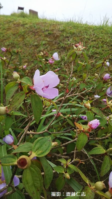 f0121321_13411307.jpg