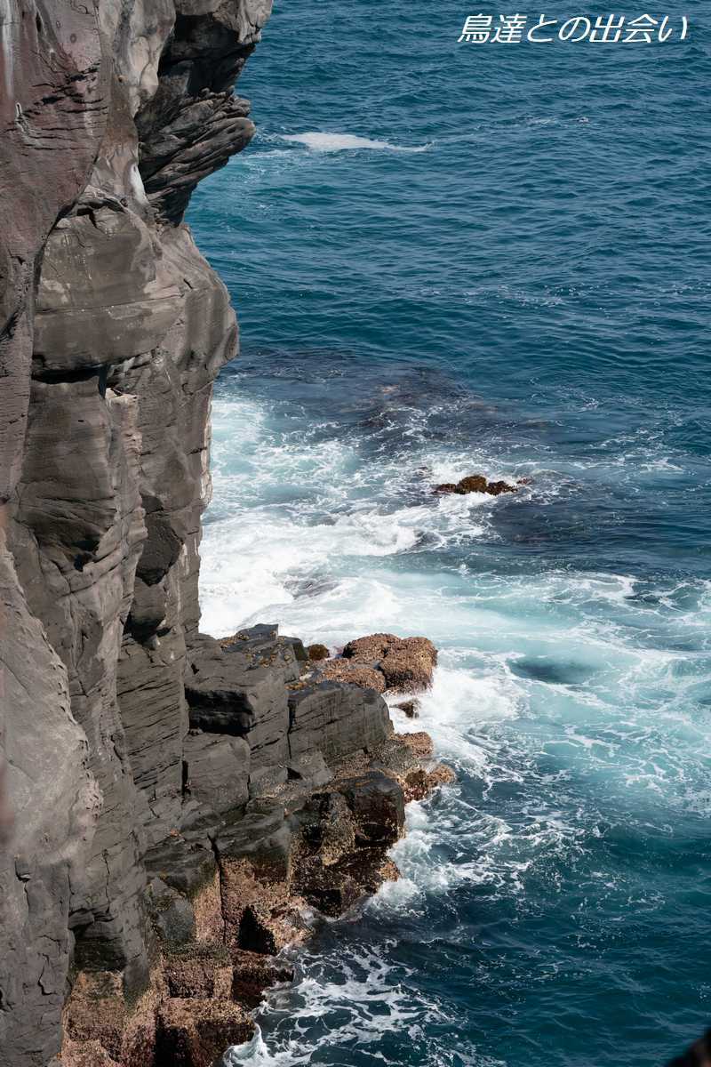 e0139623_19175967.jpg