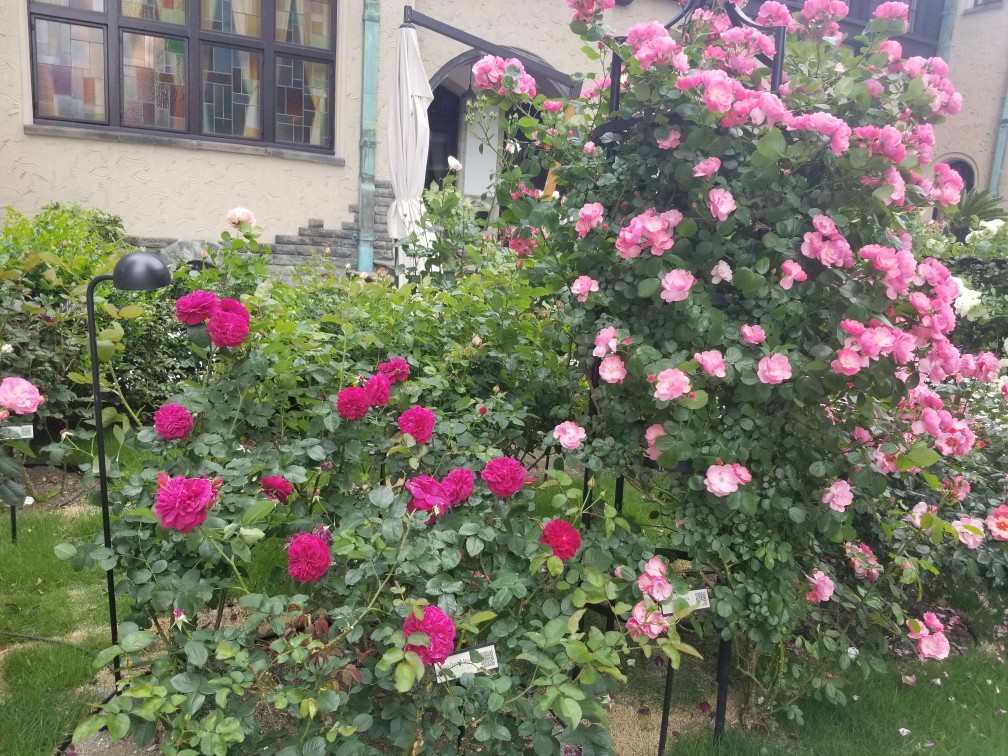d0162225_20181983.jpg
