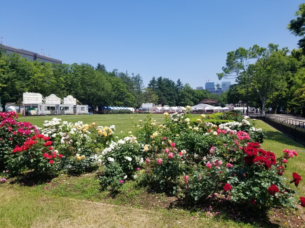 ♪令和★薔薇の香り＆世界に包まれて幸せ_d0162225_20382706.jpg