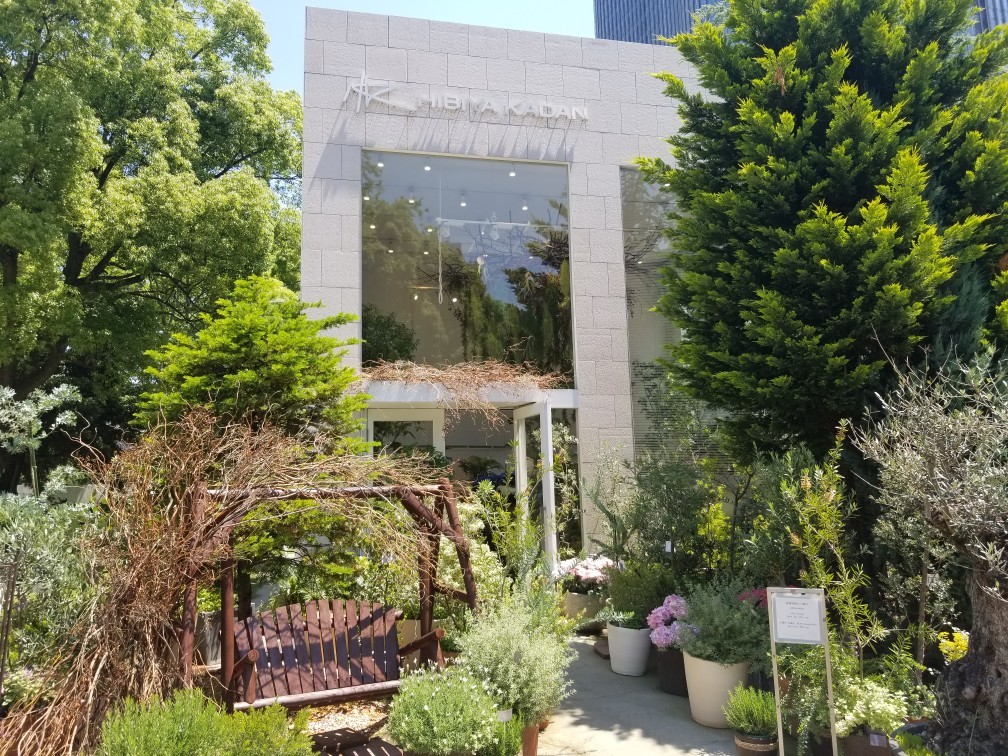d0162225_20413330.jpg