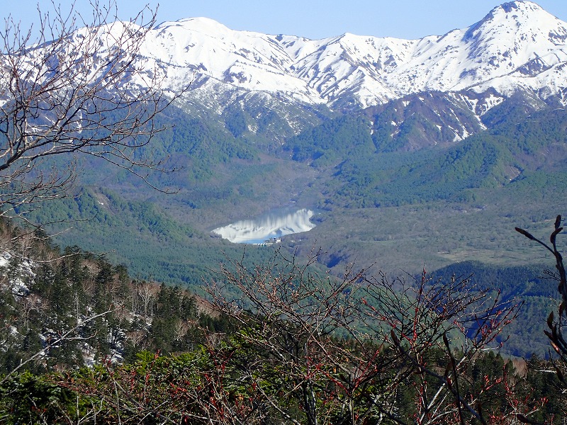 e0284726_18122098.jpg