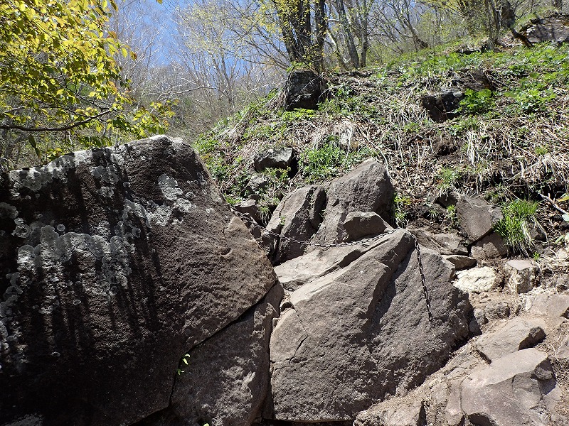 e0284726_18302611.jpg