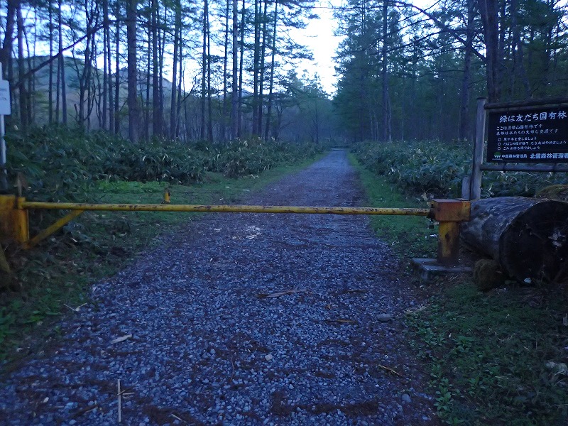e0284726_1833825.jpg