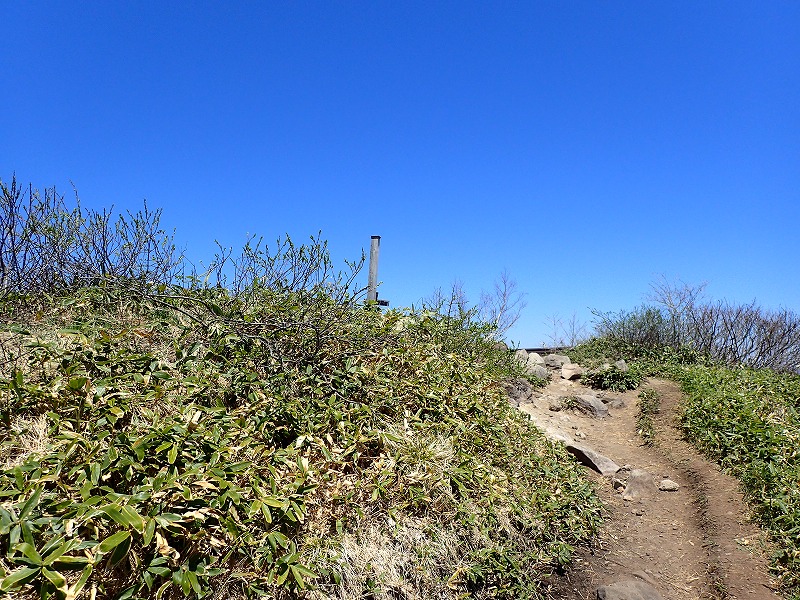 e0284726_18342081.jpg