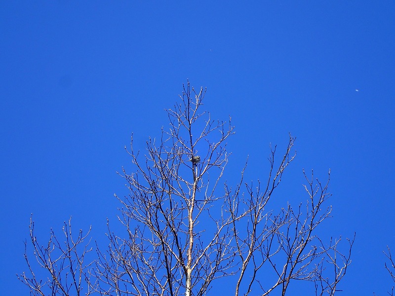 e0284726_18351312.jpg
