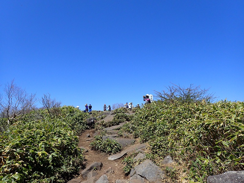 e0284726_18352877.jpg