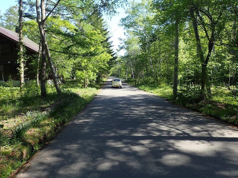 e0284726_18375625.jpg