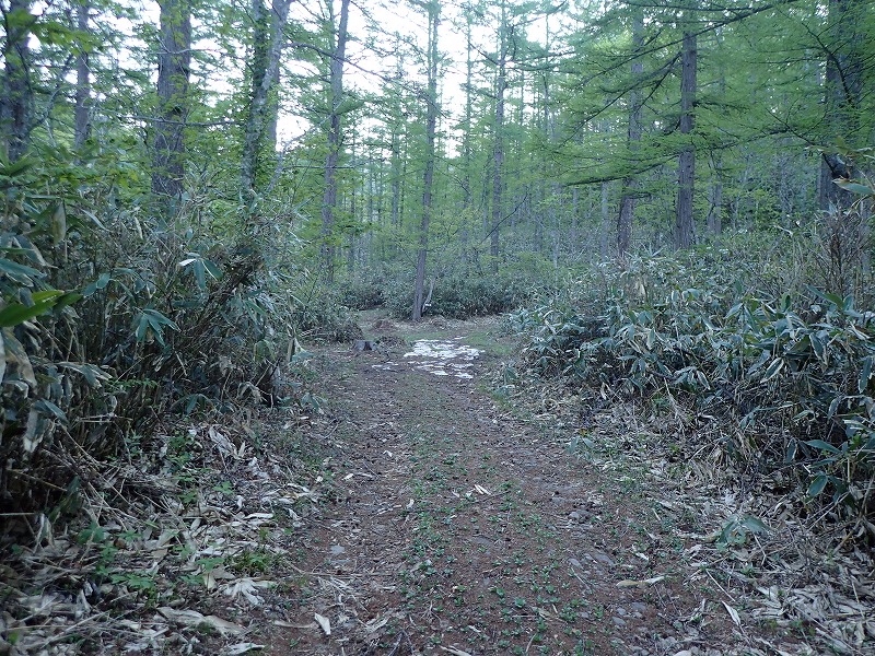 e0284726_1841416.jpg