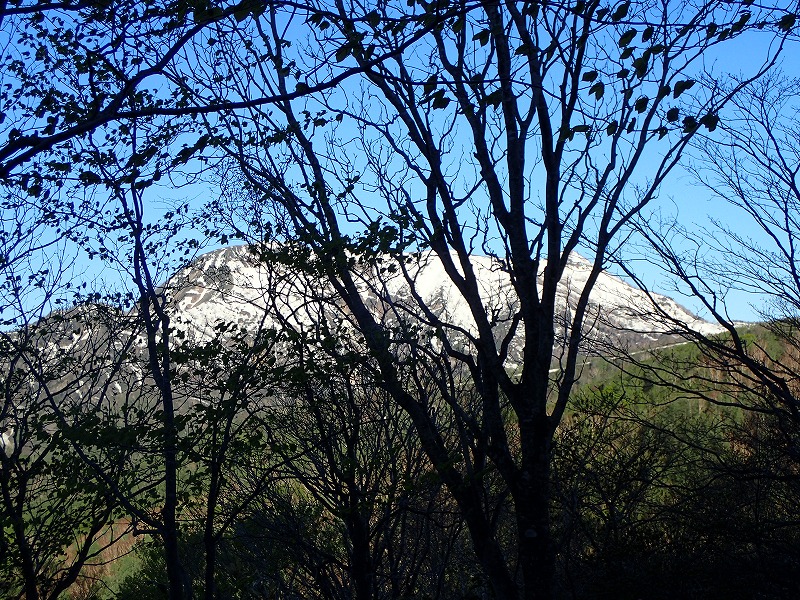 e0284726_1845368.jpg