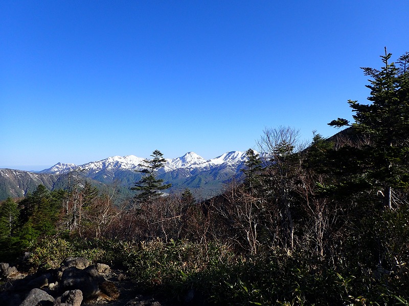 e0284726_1861874.jpg
