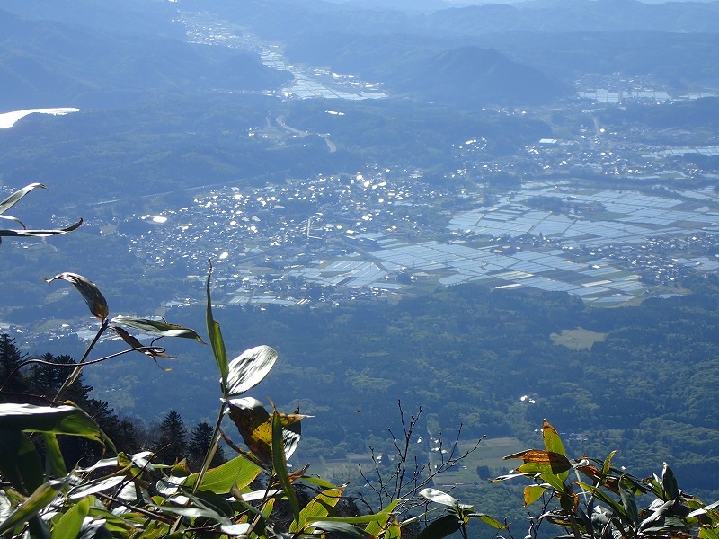 e0284726_1892599.jpg