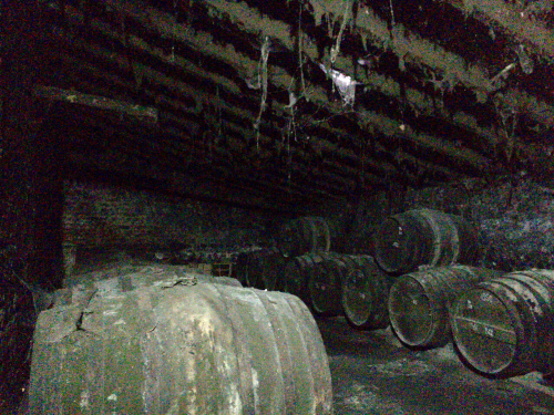 d0011635_14301110.jpg