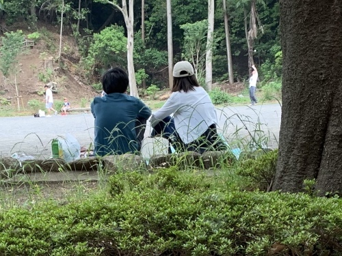 b0330040_16025171.jpeg