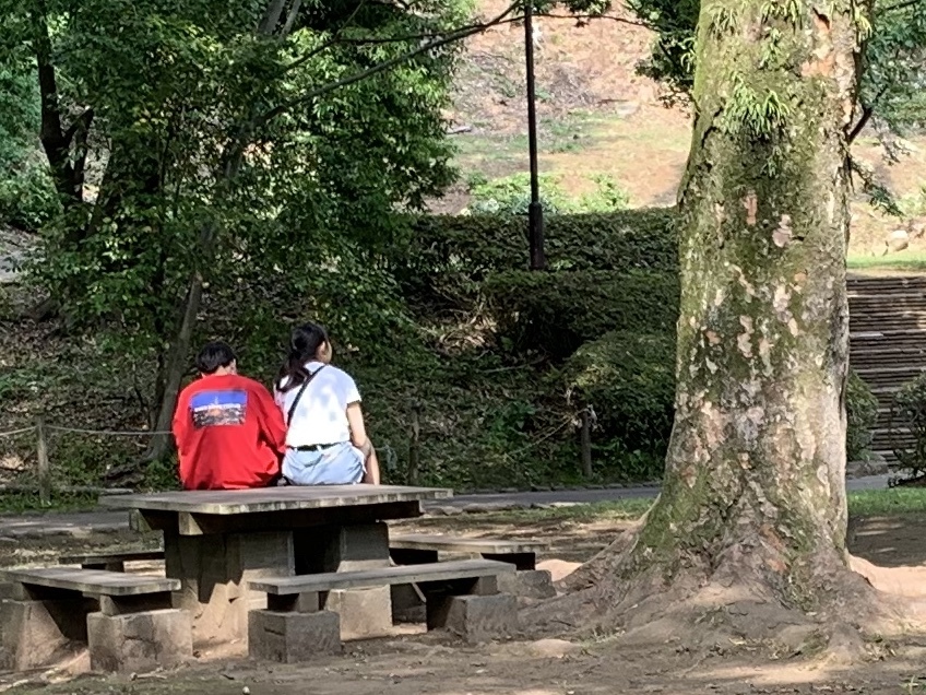 b0330040_17235640.jpeg