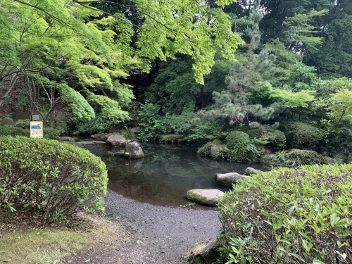 b0330040_17311631.jpeg