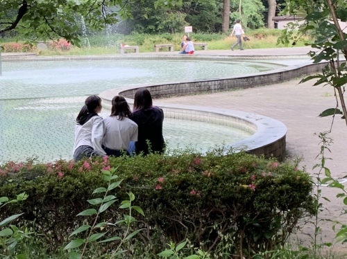 b0330040_17345809.jpeg