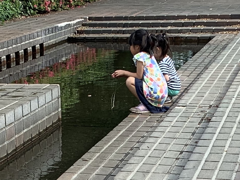 b0330040_17433395.jpeg